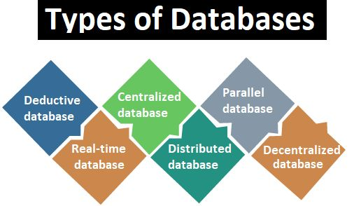 Database Definition in Computer: Complete Beginner Guide